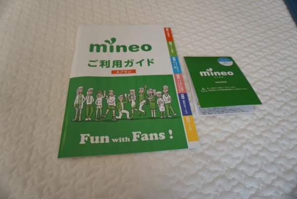 mineo（マイネオ）　iPad miniLRG_DSC02846-min